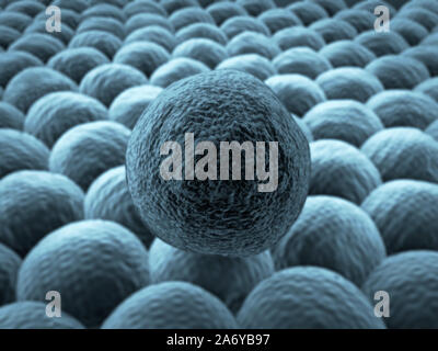 La moltiplicazione delle cellule, immagine microscopica delle cellule, divisione della cellula di cancro Foto Stock