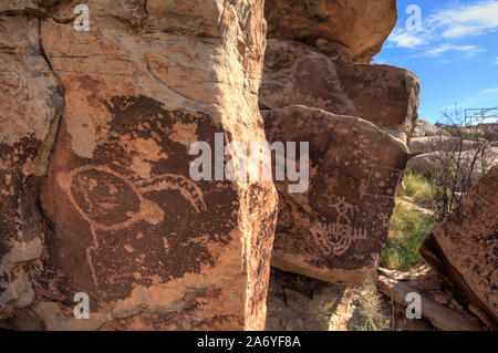 Stati Uniti d'America, Arizona, Holbrook, Parco Nazionale della Foresta Pietrificata, antiche incisioni rupestri Foto Stock