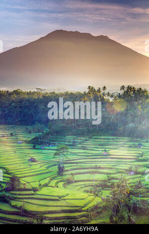 Indonesia, Bali, Redang, Vista dei terrazzi di riso e Gunung Agung Vulcano Foto Stock