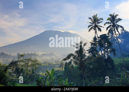 Indonesia, Bali, Sidemen Valley, campi di riso e Gunung Agung Vulcano Foto Stock