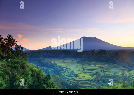 Indonesia, Bali, Redang, Vista dei terrazzi di riso e Gunung Agung Vulcano Foto Stock