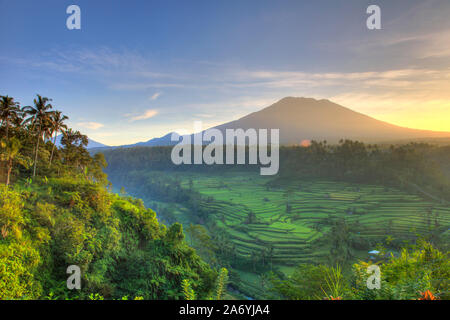 Indonesia, Bali, Redang, Vista dei terrazzi di riso e Gunung Agung Vulcano Foto Stock