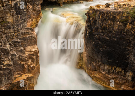 Una lunga liscia acque lattiginoso di una cascata di spremitura attraverso una stretta apertura rock nel Parco Nazionale di Jasper, Canada Foto Stock
