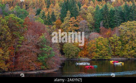 I colori autunnali tra gli alberi e le piccole barche a remi su Loch Faskally a Pitlochry nelle Highlands della Scozia Foto Stock