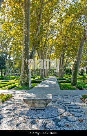 ISTANBUL TURCHIA Gulhane Park con viale di alberi di grandi dimensioni in tarda estate Foto Stock