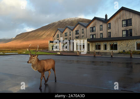 Esterno del Kingshouse Hotel, Glencoe, Highlands scozzesi con feste di addio al celibato a piedi attraverso il parco auto in primo piano e di sfondo di montagne Foto Stock