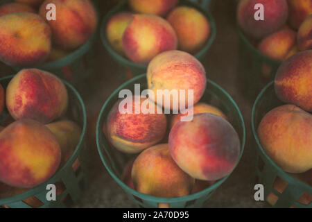 Benne di pesche fresche a banchina di frutta stand in Georgia Foto Stock