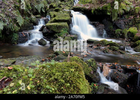 La cascata nel Yorkshire Foto Stock