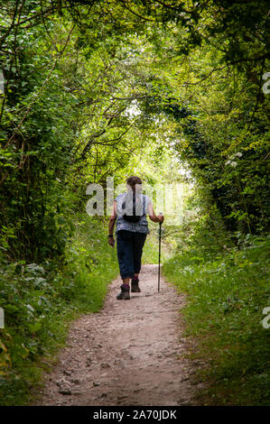 Di mezza età rambler femmina camminare sotto la tettoia di alberi e siepi su una parte stretta della South Downs Way, Hampshire, Inghilterra. Foto Stock