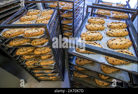 Dresden, Germania. Xviii oct, 2019. Appena sfornato il Natale lo Stollen giacciono su carrelli di trasporto in Dresden casa di cottura alla finestra aperta e raffreddare. Il Dresden Christstollen è fatto a mano da circa 130 panetterie e pasticcerie nei dintorni di Dresda secondo ricette tradizionali. I prigionieri solo che soddisfano i requisiti dell'Stollen associazione di protezione possono recare il prigioniero di tenuta come un segno di autenticità. Credito: Jens Büttner/dpa-Zentralbild/ZB/dpa/Alamy Live News Foto Stock