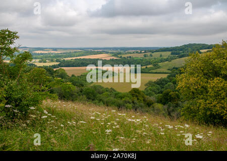 Dolci colline e campi coltivati visto da un punto di vista su South Downs modo vicino alla vecchia Winchester Hill in Hampshire, Inghilterra. Foto Stock