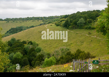 Una ripida collina con pascoli e boschi nei pressi della vecchia Winchester Hill lungo South Downs modo in Hampshire, Inghilterra. Foto Stock