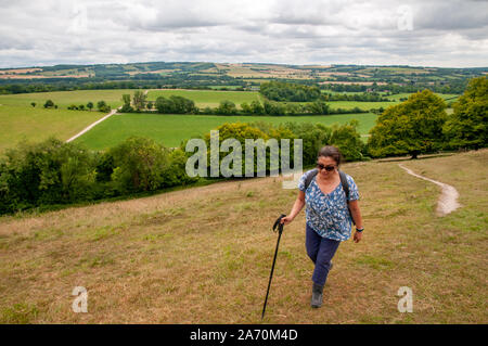 Di mezza età rambler femmina camminando su di una ripida collina nella campagna dell'Hampshire lungo il South Downs Way East di Winchester, Inghilterra. Foto Stock