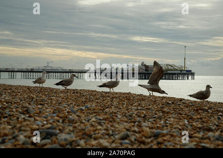 La spiaggia di Brighton e pier in background. La mattina presto vista con Rising Sun in Oriente. Foto Stock