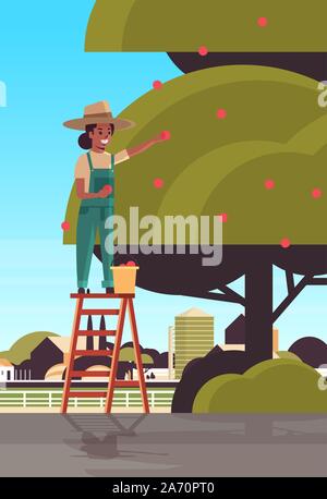 Contadina raccolta mele mature da albero African American Girl sulla scala raccogliendo frutti nel giardino stagione del raccolto di concetto campagna sfondo verticale piana illustrazione vettoriale Illustrazione Vettoriale