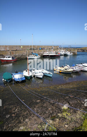 St Abbs, villaggio di pescatori sulla costa Berwickshire Scozia Scotland Foto Stock