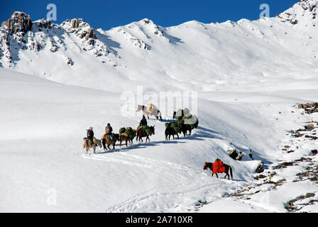 Pack cavalli sul Buchha La in Daxueshan montagne occidentali del Sichuan in Cina Foto Stock