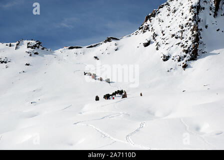 Pack cavalli sul Buchha La pass nel Daxueshan montagne occidentali del Sichuan in Cina Foto Stock