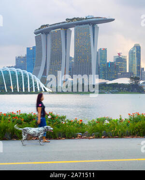 SINGAPORE - Febbraio 16, 2017: Donna a piedi con un cane da tje fiume nella parte anteriore del centro cittadino di Singapore Foto Stock