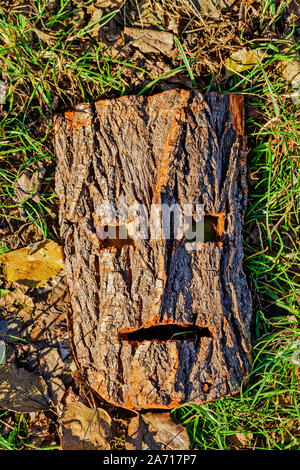 maschera di dio pagano scolpito dalla corteccia Foto Stock