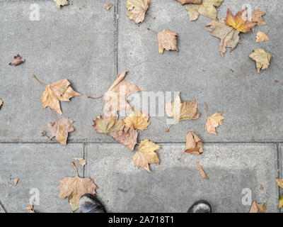 Close up di croccante marrone a foglie di autunno sul marciapiede, con piedini Foto Stock