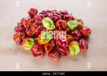 Red Hot Chili Pepper Scotch Bonnet Caraibi Antillais su sfondo di legno colorato Foto Stock