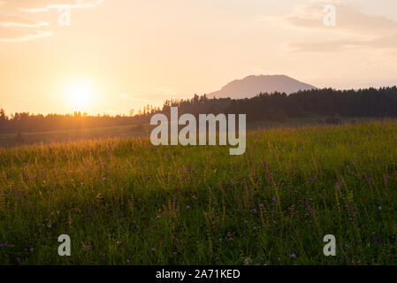 Tramonto colorato sopra il prato pieno di fiori, Slovacchia Centrale Foto Stock