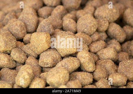 Animali domestici masmas close-up. Essa è stata presa nella parte anteriore del negozio. Foto Stock