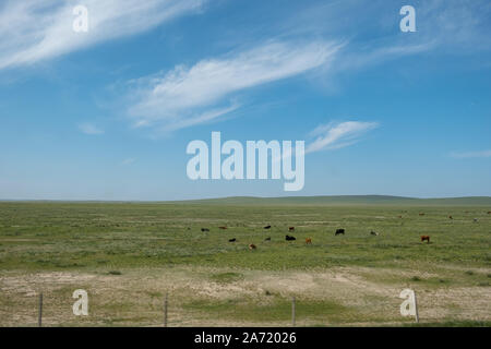 Paesaggio mongolo, vista dal treno Foto Stock