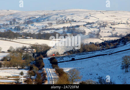 'Darfield' capi lungo la Embsay e Bolton Abbey ferrovia presso Stoneacre loop. Foto Stock