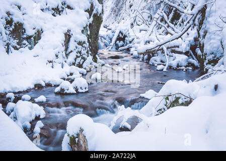 Fiume che scorre tra rocce e alberi caduti in inverno Foto Stock