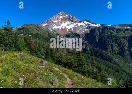 Un tempo estivo vista di Mt. Il cofano e il ghiacciaio di sabbia dal Timberline Trail. Una bella giornata di sole per essere fuori sul sentiero nel deserto. Foto Stock