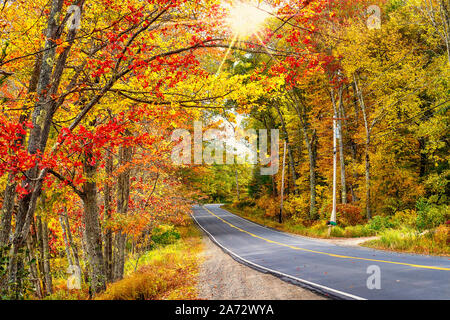 Bella strada d'autunno avvolgimento attraverso splendidi colori dell autunno nel New England. Raggi di sole spiata attraverso gli alberi d'oro. Foto Stock