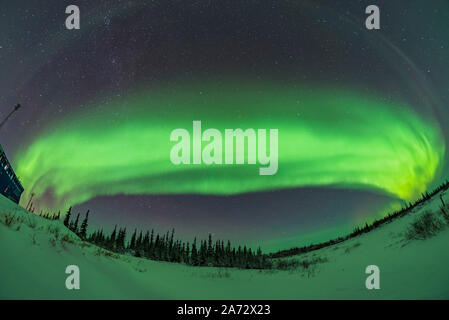 L'arco del auroral oval attraverso la northern sky, Churchill, Manitoba. Ho girato questa Febbraio 7, 2019. Unità di controllo Polaris è appena a sinistra del centro superiore; Cassio Foto Stock