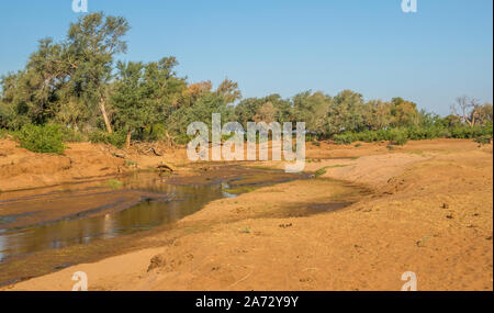 Basso livello dell'acqua nel fiume Luvuvhu nel Parco Nazionale di Kruger in Sud Africa nel pre-stagione piovosa immagine in formato orizzontale Foto Stock