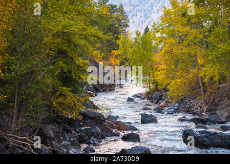 Fiume di montagna circondato da alberi d'autunno con la luce del tramonto che riflette da acqua al crepuscolo Foto Stock