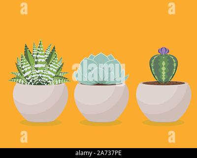 Popolari succulente houseplant crescendo in una pentola illustrazione. Illustrazione Vettoriale