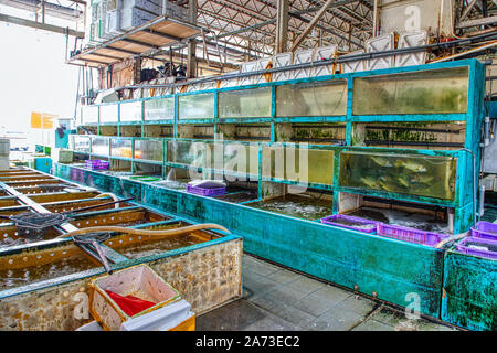 Mercato del Pesce, Aberdeen, Hong Kong Foto Stock