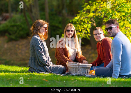 Due giovani coppie che vogliono godersi un autunno picnic seduti sul prato verde in un parco attorno ad un cibo ostacolare girando di sorridere alla telecamera Foto Stock