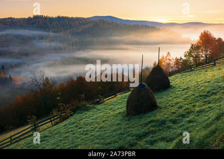 Autunnale di area rurale in montagna all'alba. valle piena di nebbia. alberi in caduta delle foglie. staccionata in legno sul pendio erboso Foto Stock