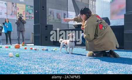 Kiev, Ucraina - 21 Settembre 2019: Festival "ZOOBonus fest", simpatici animali domestici con loro i proprietari hanno un riposo all'aperto Foto Stock