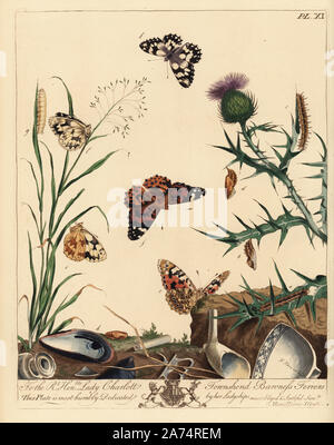 Dipinto di lady butterfly, Vanessa cardui, e marmoress o in marmo bianco, butterfly Melanargia galathea. Litografia Handcolored dopo una illustrazione da Mosè Harris da "l'aureliane; una storia naturale di inglese falene e farfalle", nuova edizione a cura di J. O. Westwood, pubblicato da Henry Bohn, Londra, 1840. Foto Stock