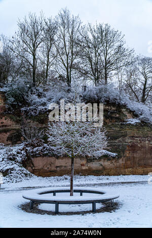 A lot of snow on trees after a heavy blizzard in Germany during winter time Foto Stock