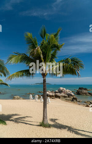 Costa Tropicale Vista con un albero di palma, spiaggia e pietre in Cina del sud durante il periodo estivo. Foto Stock