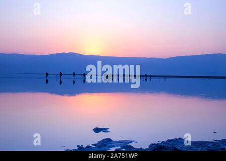 Un gruppo di fotografi di scattare le foto del tramonto sulla riva del Mar Morto. Israele Foto Stock