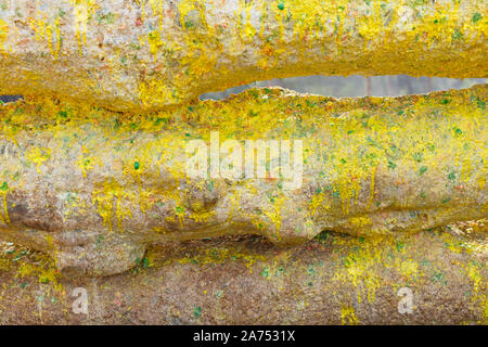 Primo piano delle barriere in legno con gli spruzzi di vernice sul parco giochi Paintball Foto Stock