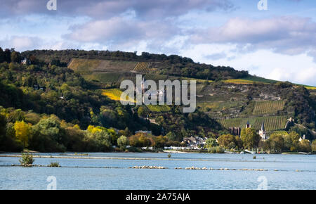 Burg Stahleck castle e la cittadina di Bacharach sul Reno in autunno, la Renania Foto Stock