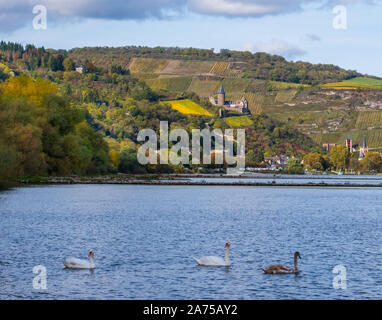 Burg Stahleck castle e la cittadina di Bacharach sul Reno in autunno, la Renania Foto Stock