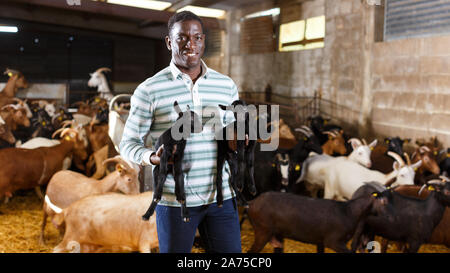 Ritratto di esperto americano africano proprietario della fattoria di capre cercando dopo poco capre Foto Stock