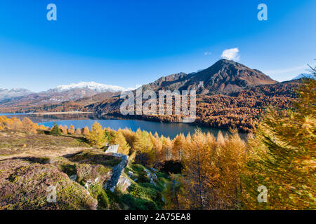 Tipico paesaggio autunnale dell'Engadina, sulle alpi svizzere Foto Stock